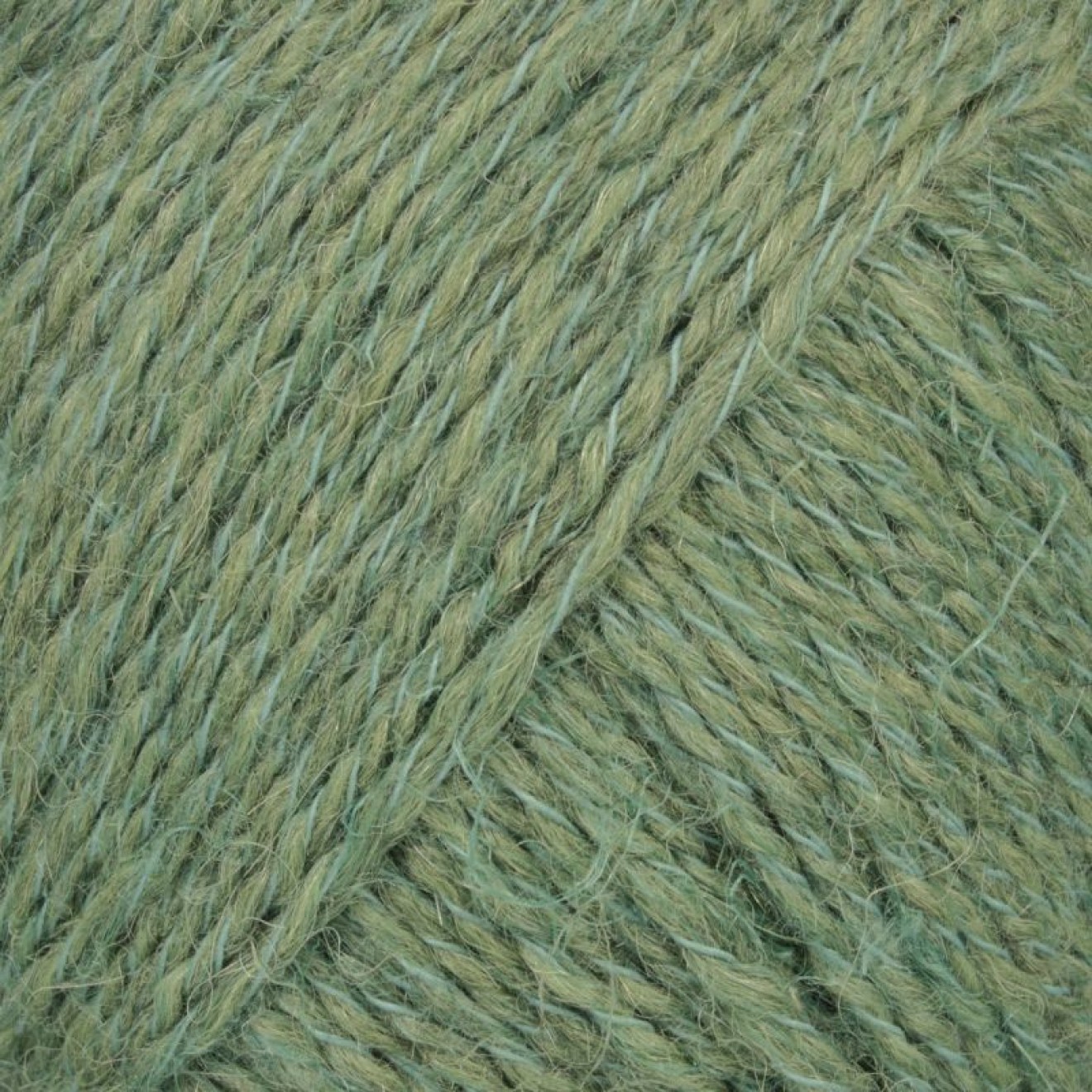 Mayflower 225-0000462-000012