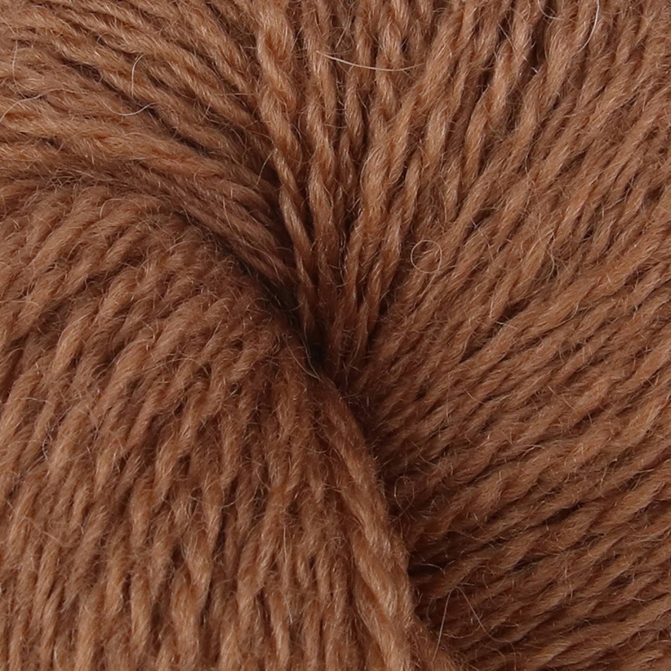 Bramble & Fleece 228-0003184-000240