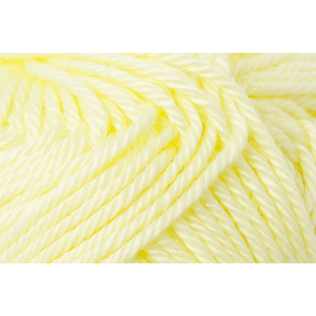 00100 mimose