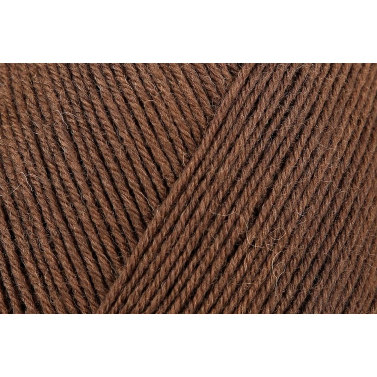 Regia 4-ply Farbe 02903