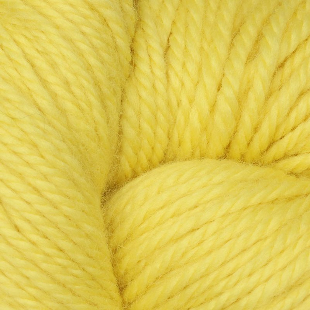 The Oxford Company Violet Jane Kammgarn colour col. Spotlight
