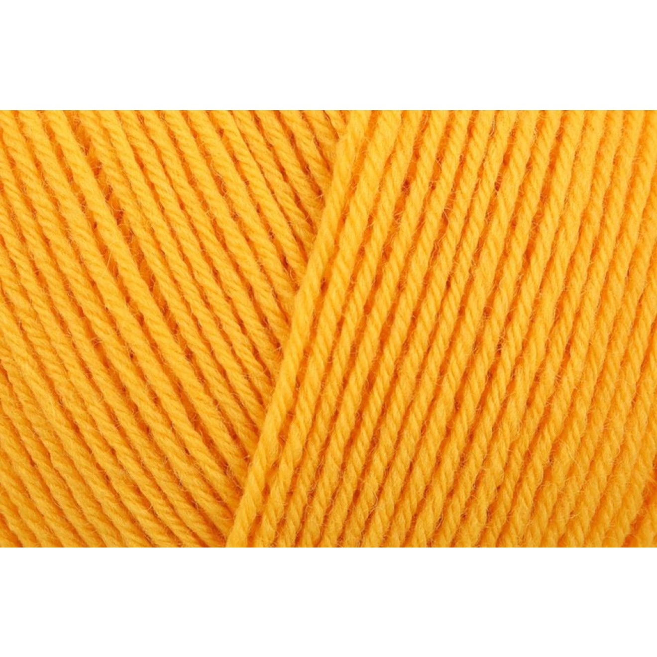 00020 sunflower