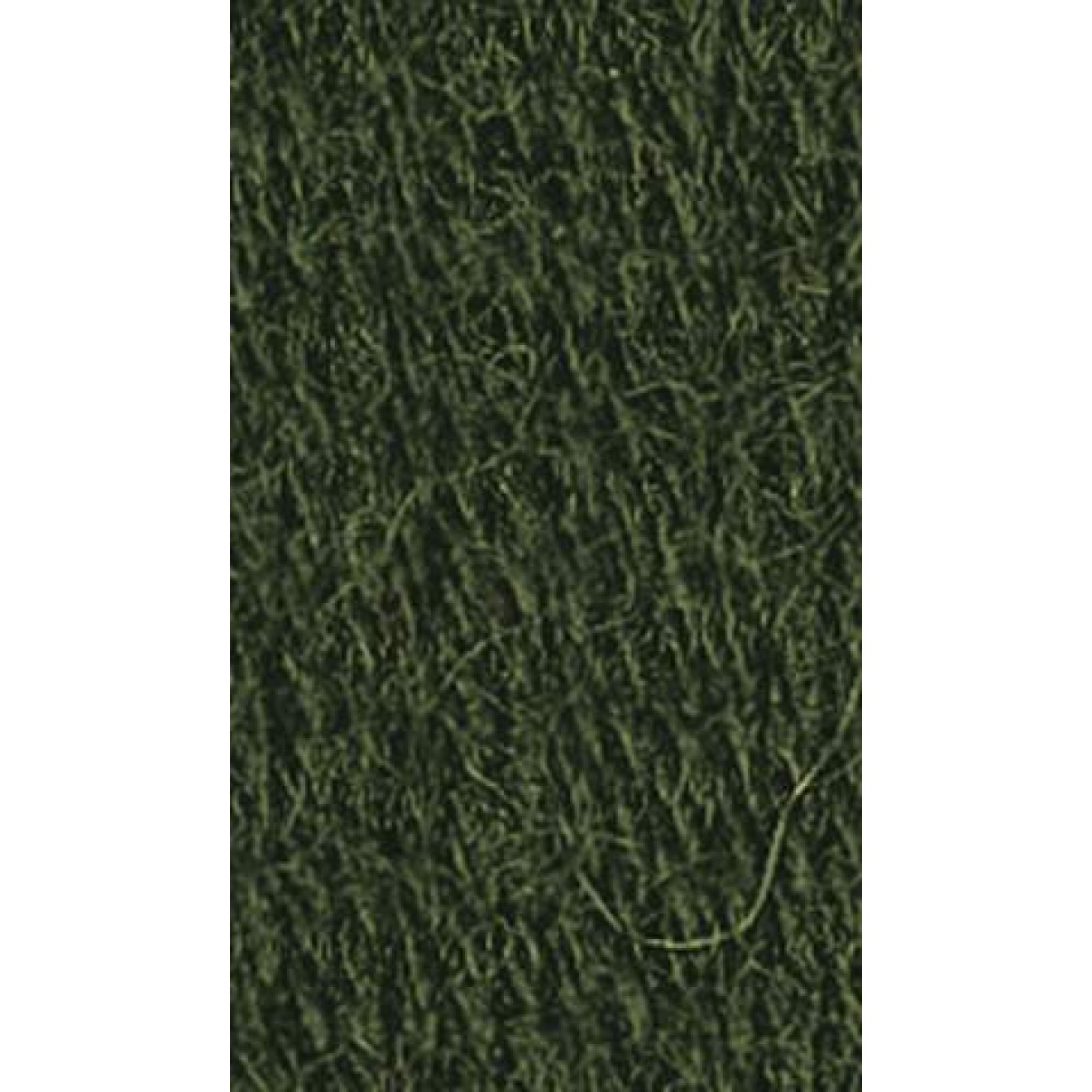 Regia 6-ply colour 01994 loden