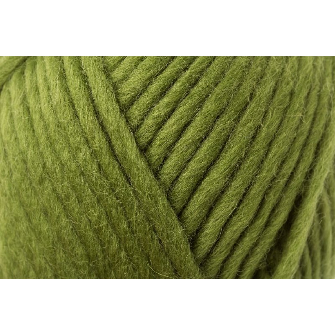 Schachenmayr Wash+Filz-it! Filzwolle uni colour 00017 olive