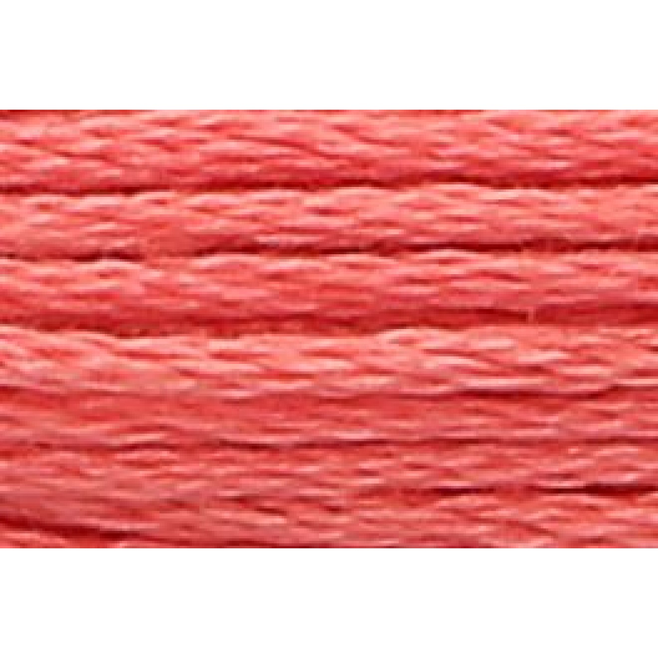 00010