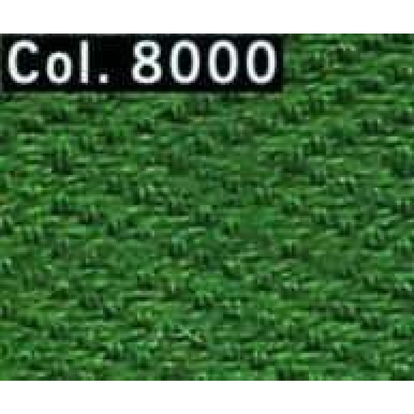 8000