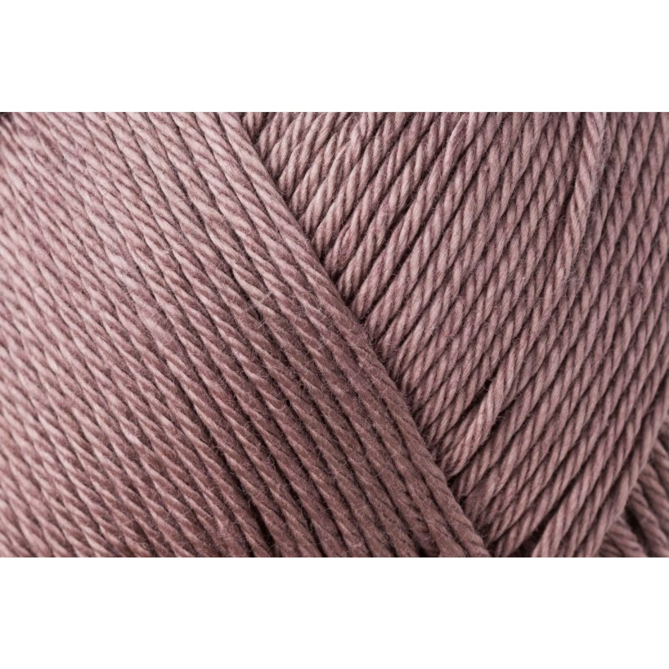 Schachenmayr Catania colour 00161 teddy