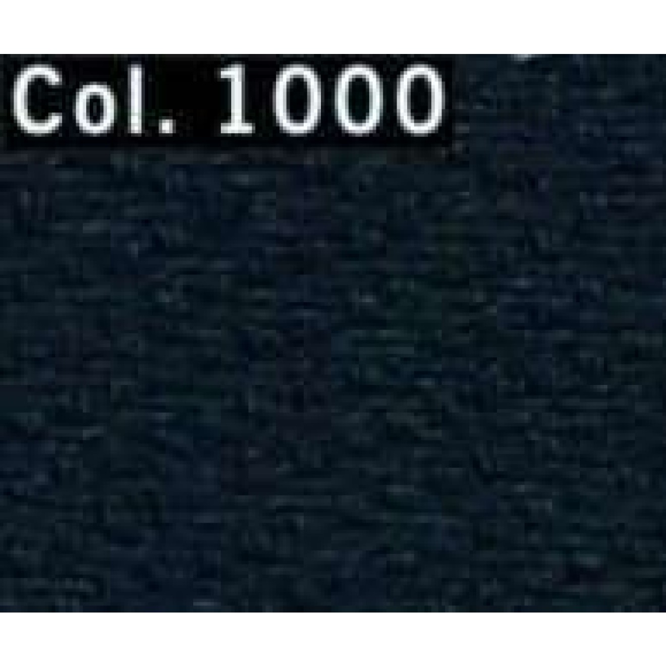 1000