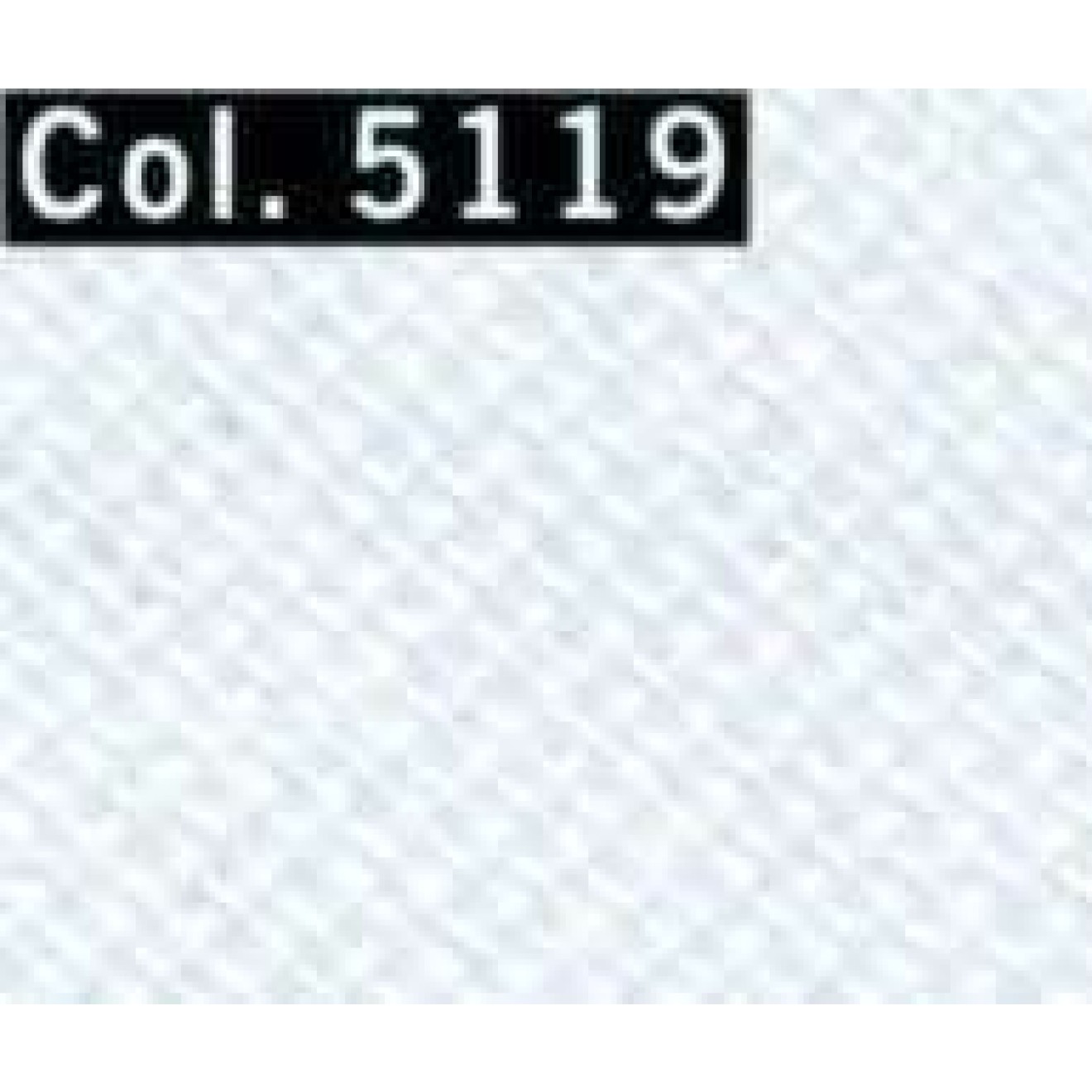 5119