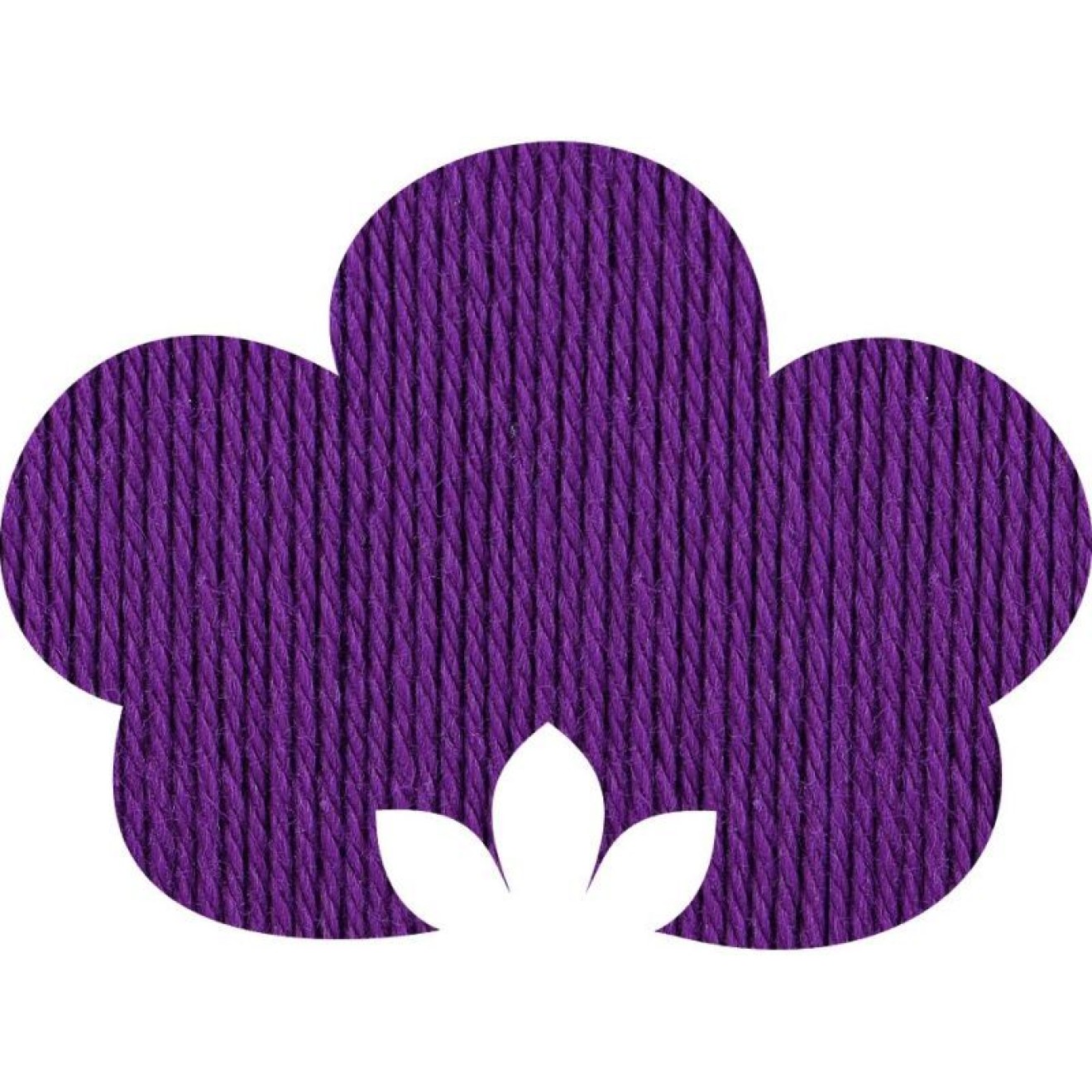 00240 plum