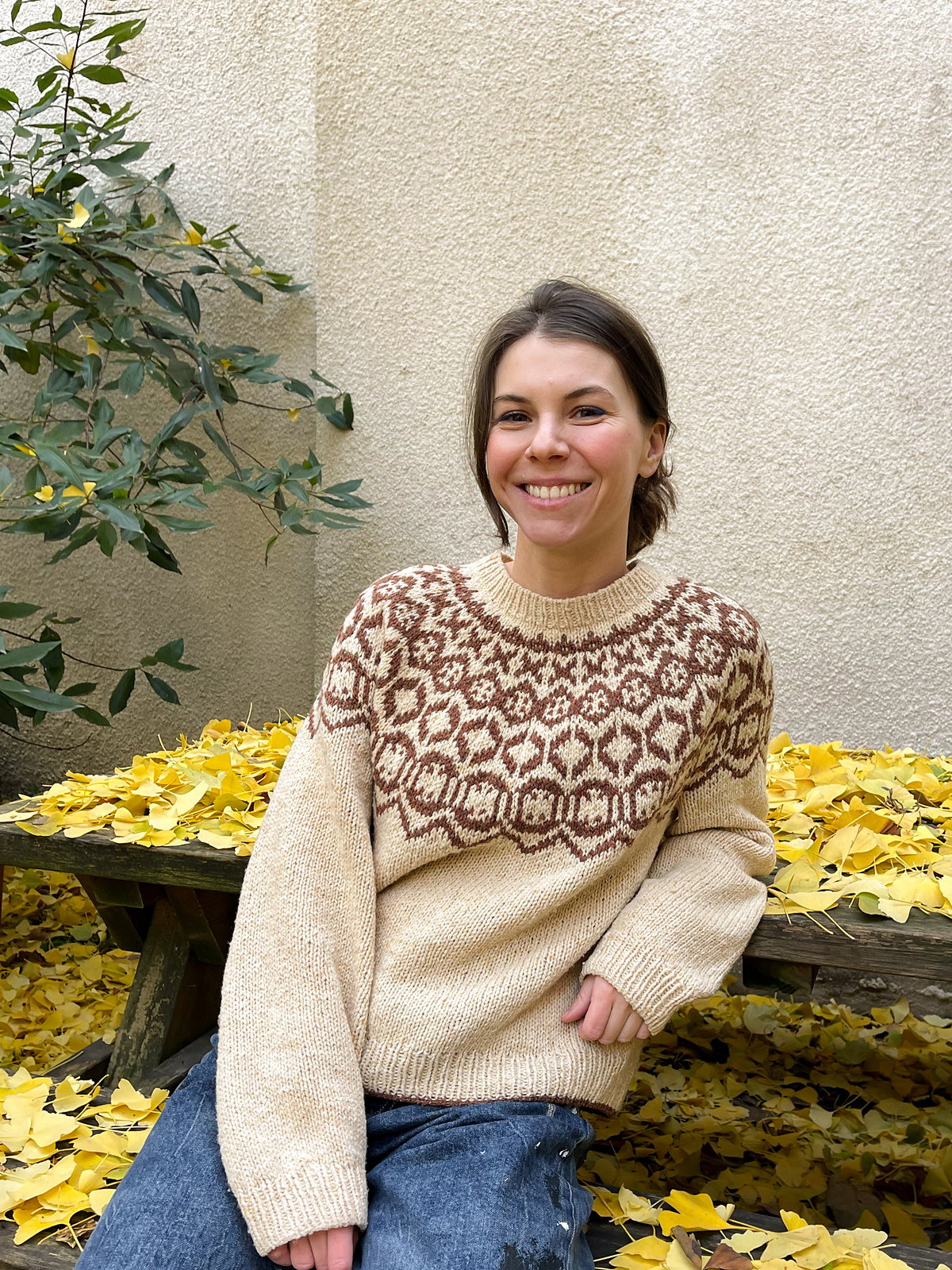 Pull Semiprecious – modèle de tricot (PDF, anglais/russe)