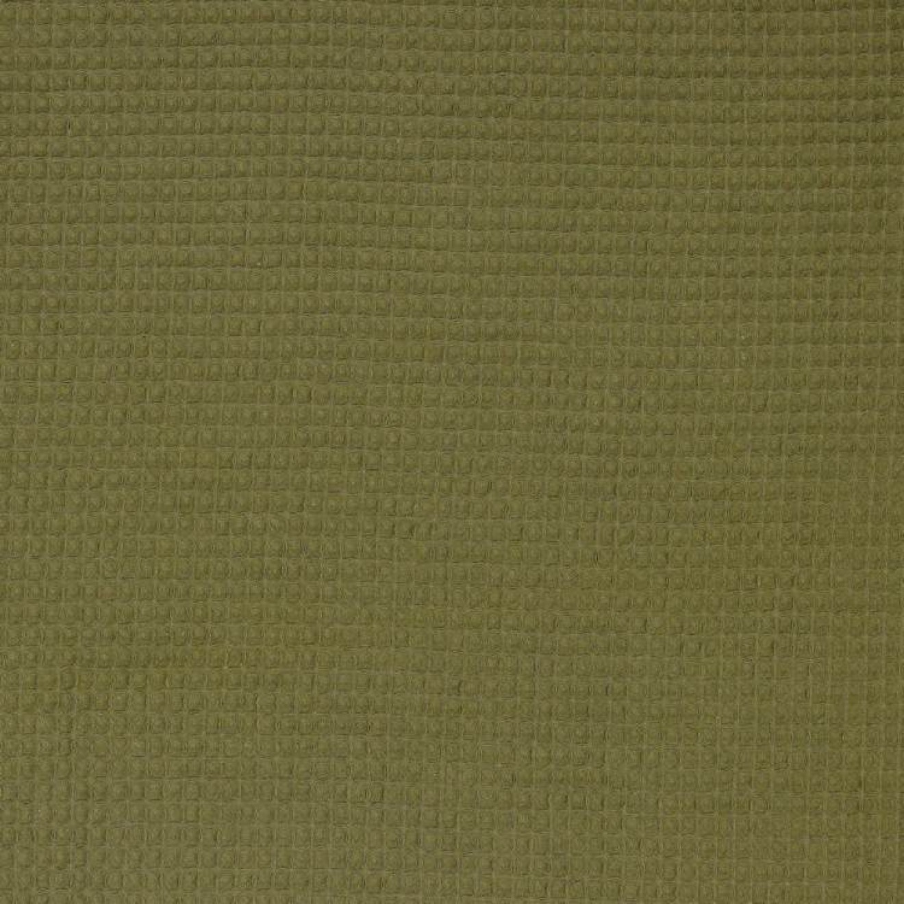 038 col.038 moss green