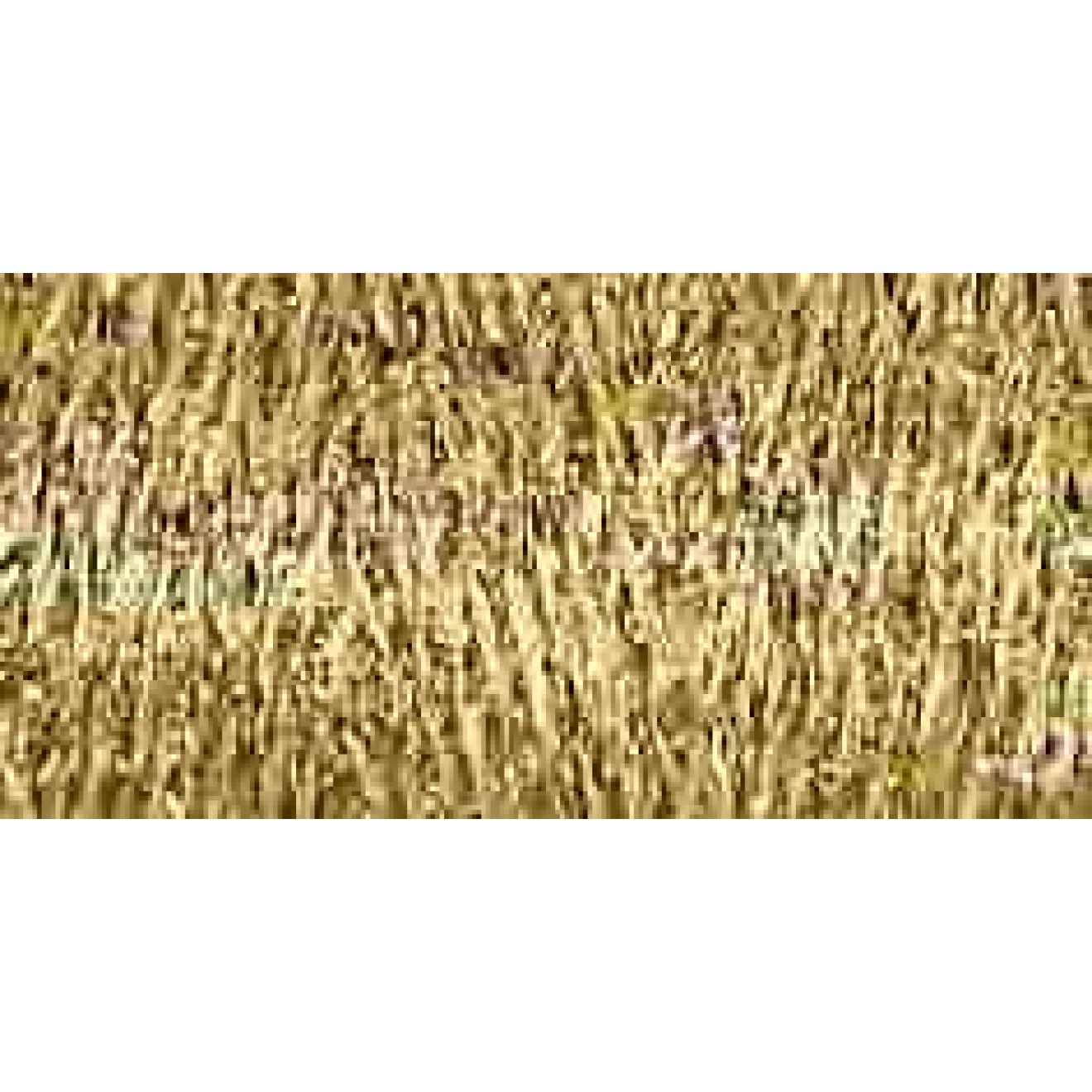 0024 gold