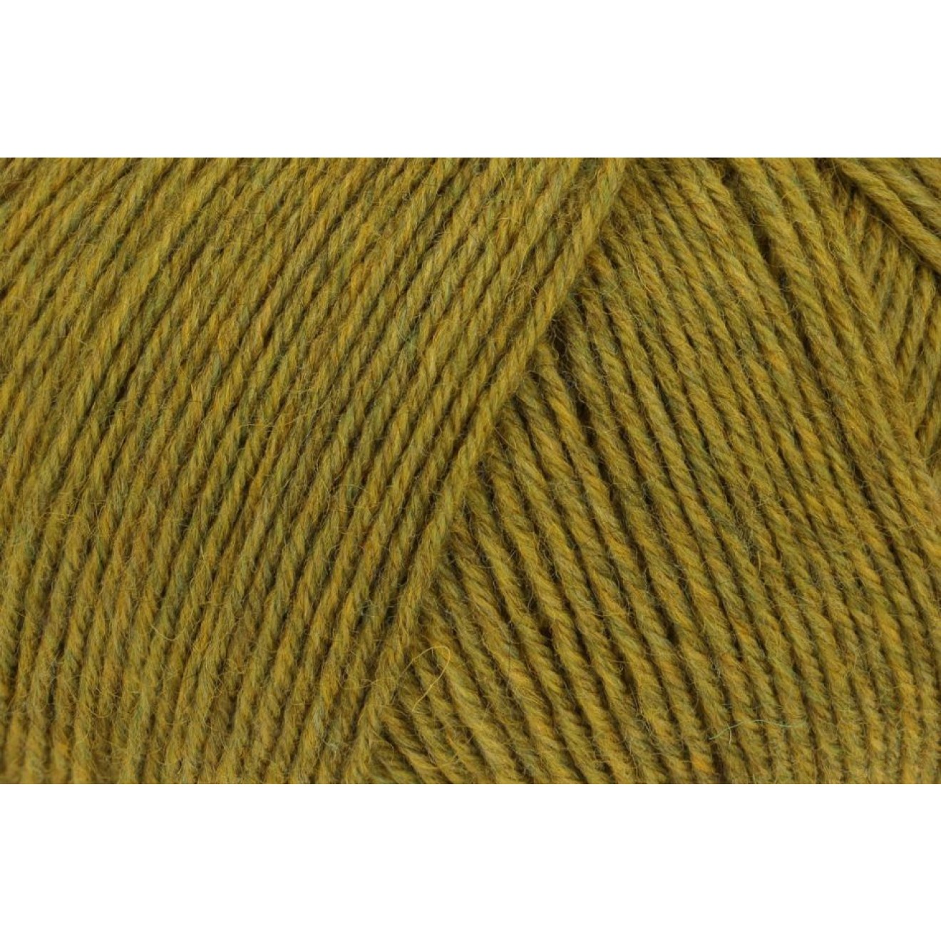 Regia 4-ply PREMIUM Merino Yak colour 07516 gras green