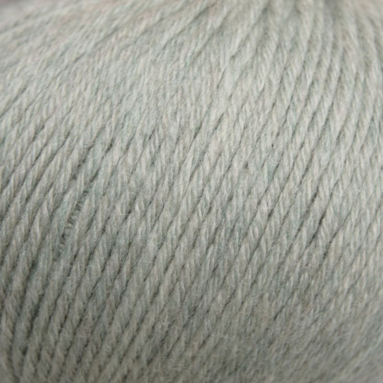 Mayflower 225-0000211-000215