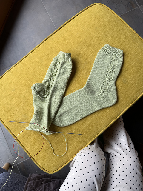 Anatomy Socks – Knitting Pattern (PDF)