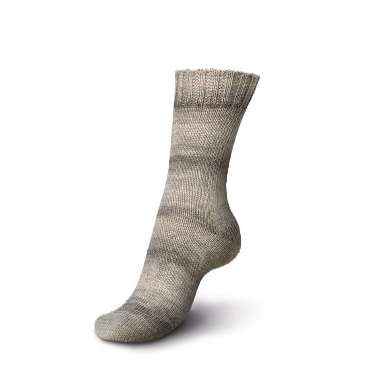 Regia 4-ply PREMIUM Silk Color colour 00021 taupe color