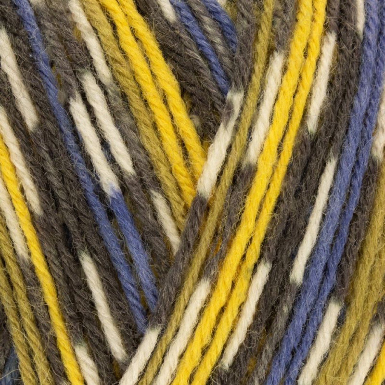 West Yorkshire Spinners 227-0000006-000818