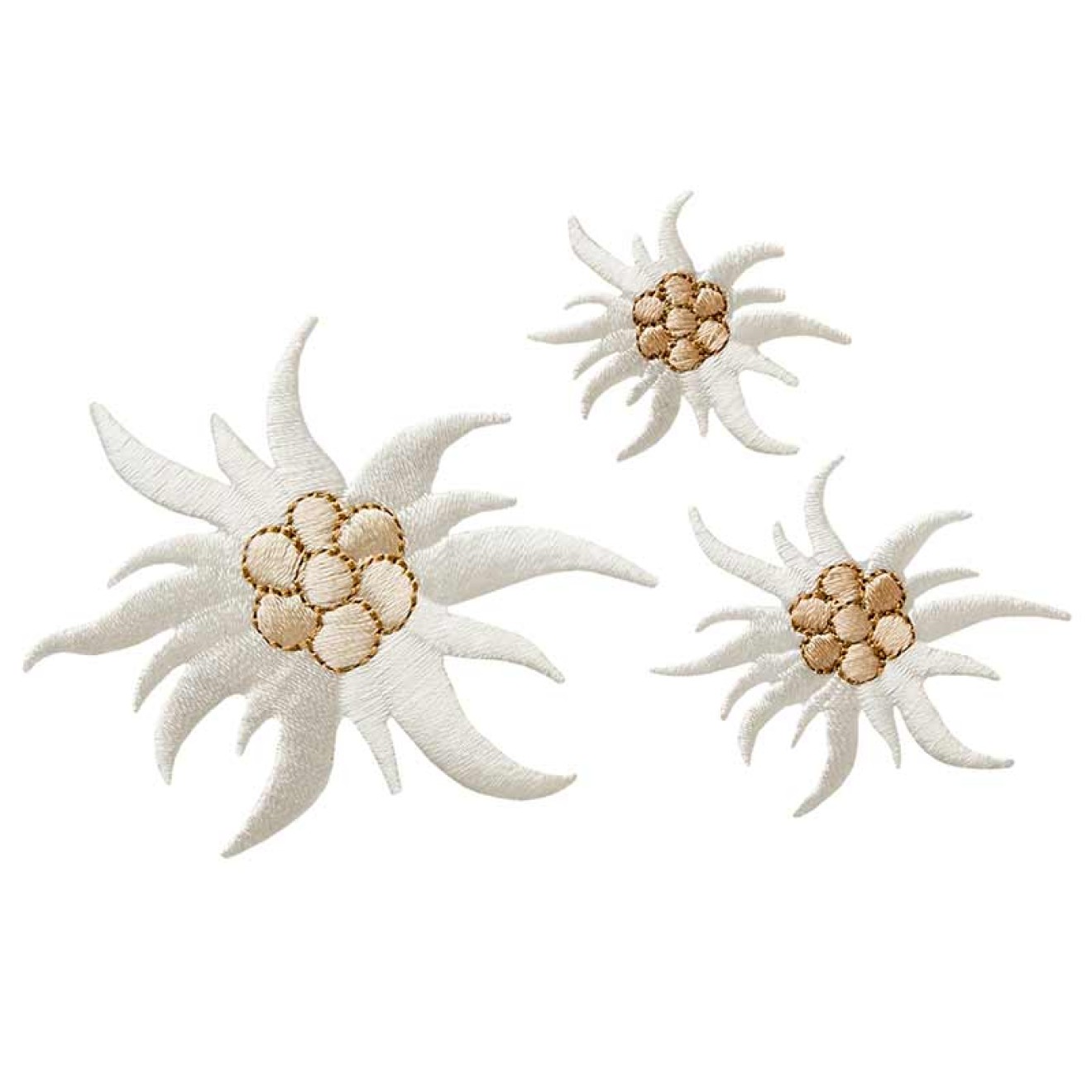 Create Edelweiss