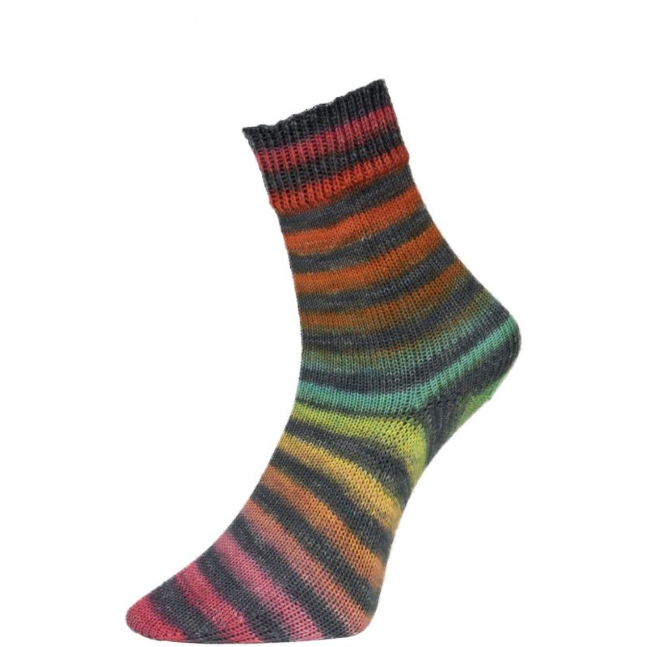 Pro Lana Paint Socks colour 203