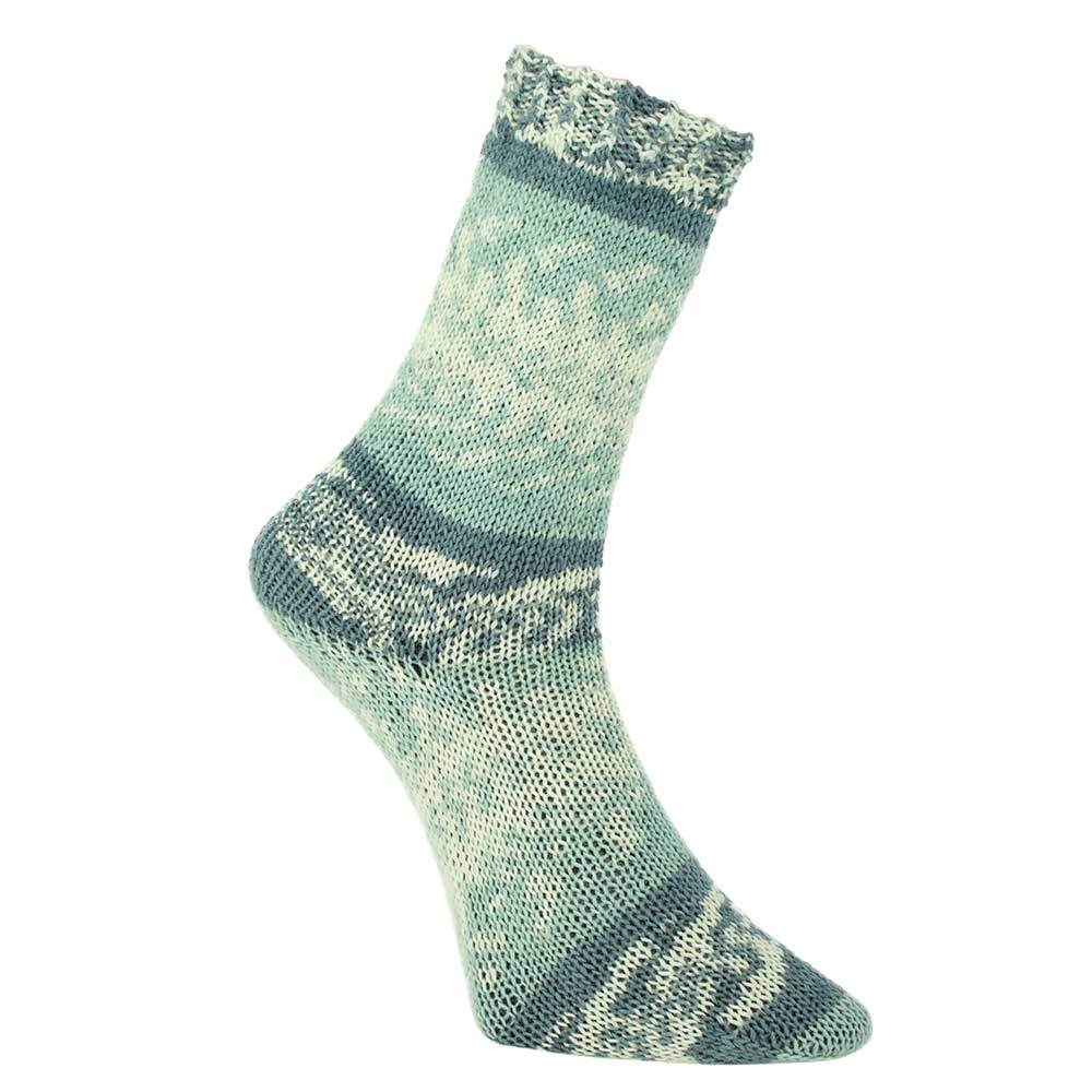 Pro Lana Fjord Socks colour 185
