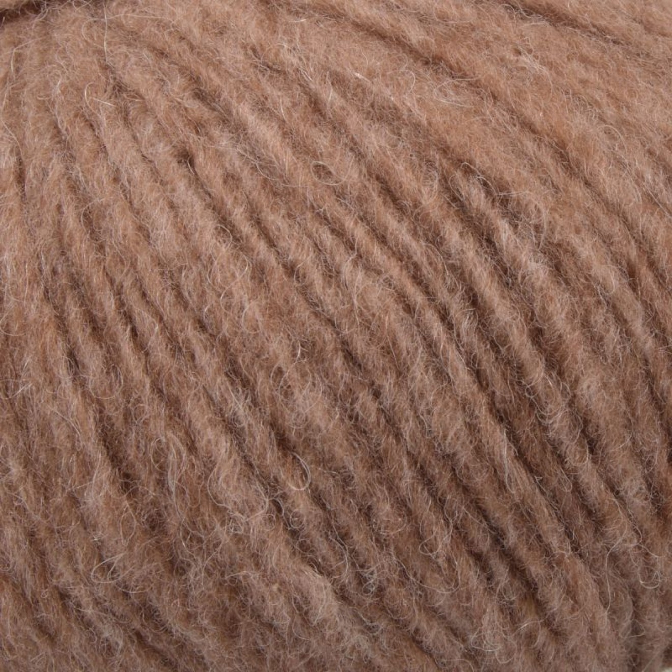 Mayflower 225-0000459-000005