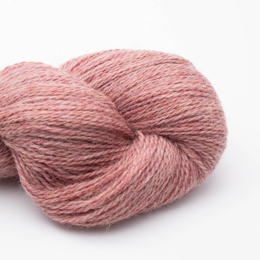 BC Garn Babyalpaca 10/2 auf 50g RAS yarn