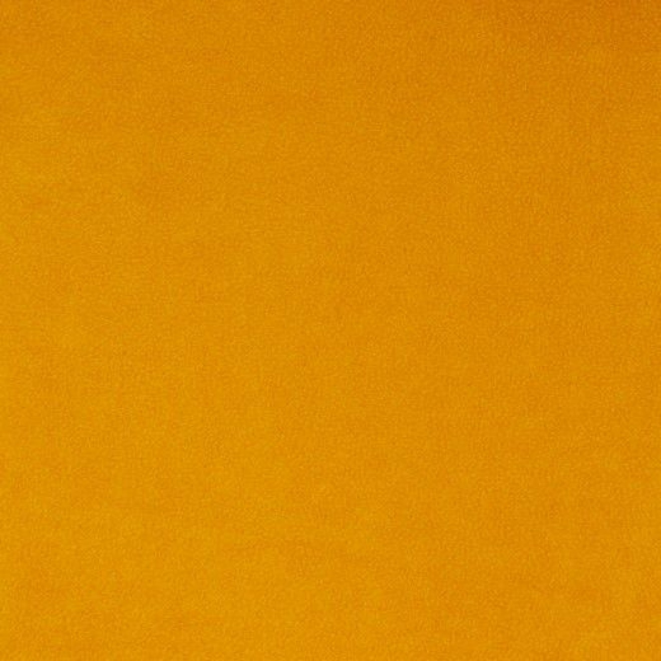 148074 col. 074 sunflower