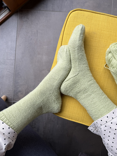 Anatomy Socks – Knitting Pattern (PDF)
