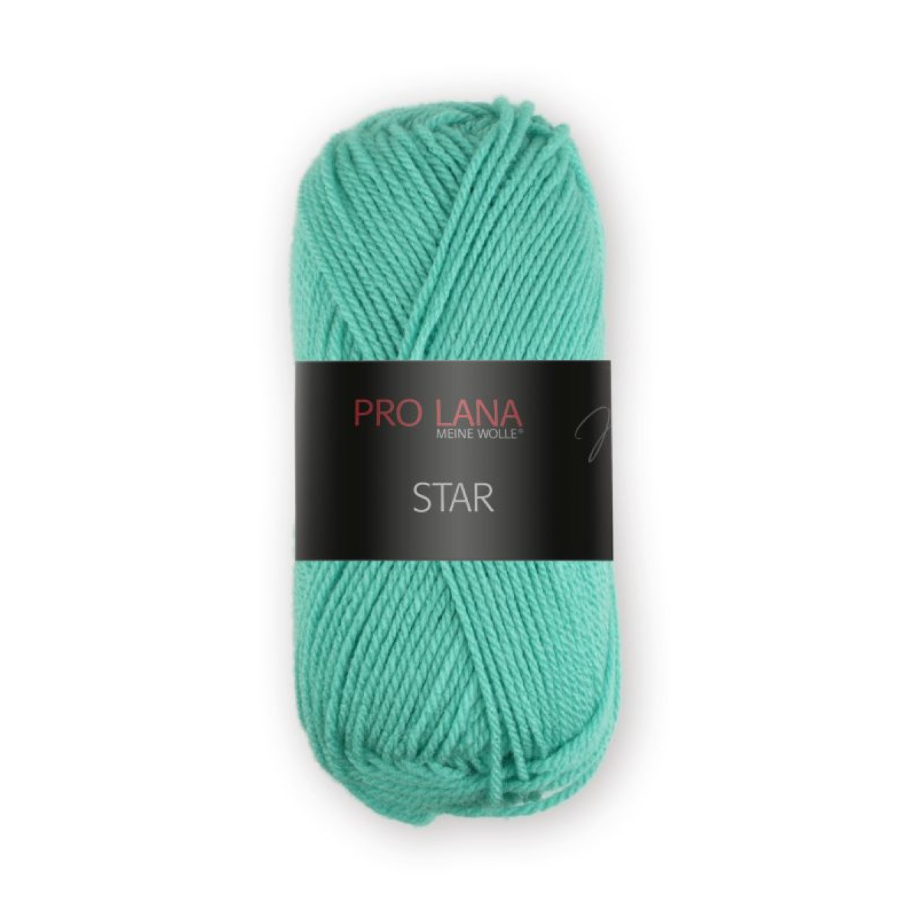 Pro Lana Star colour 064