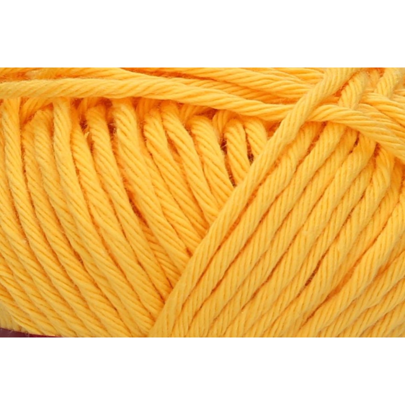 col. 00022 подсолнечник
