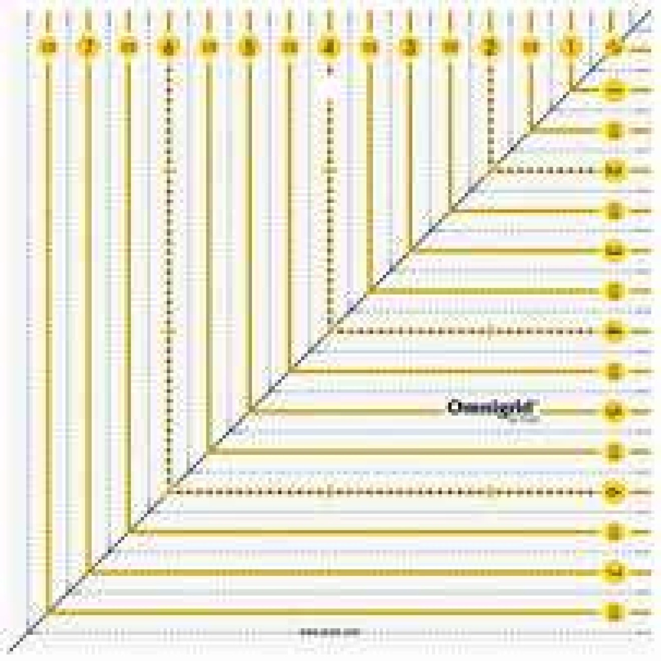 Rollschneider-Lineal Patchwork 8x8 inch