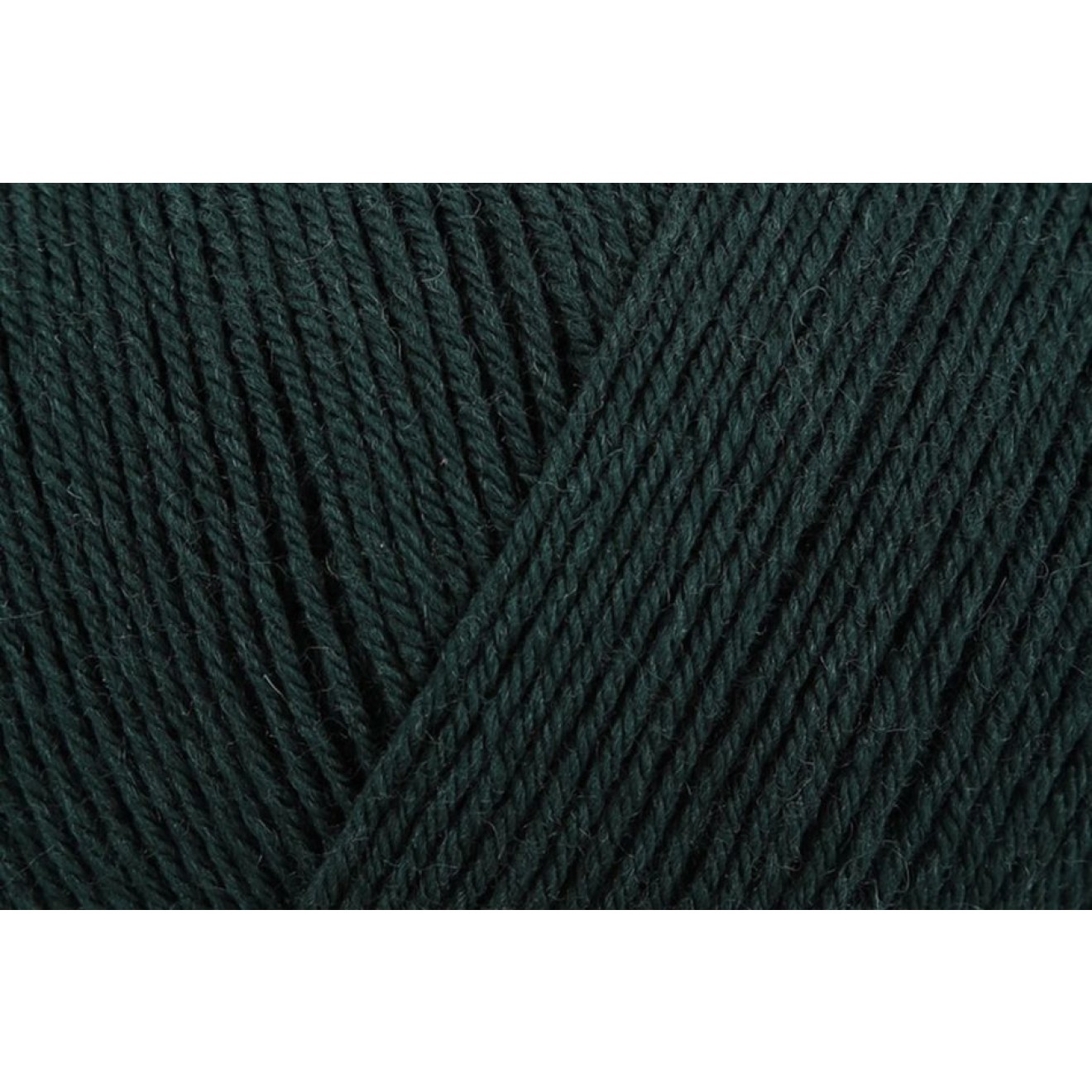 Regia Premium Pure Color colour 00072 leaves