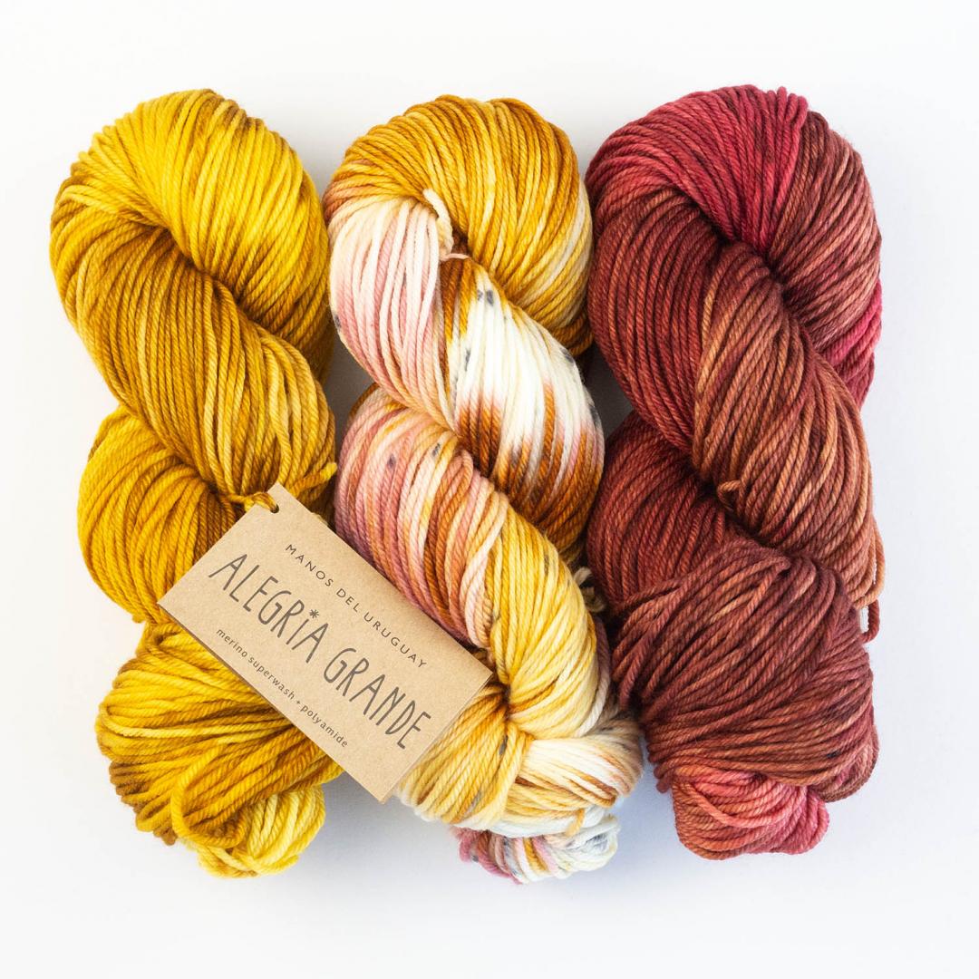 Manos del Uruguay Alegria GRANDE Farbverlauf handgefärbt yarn