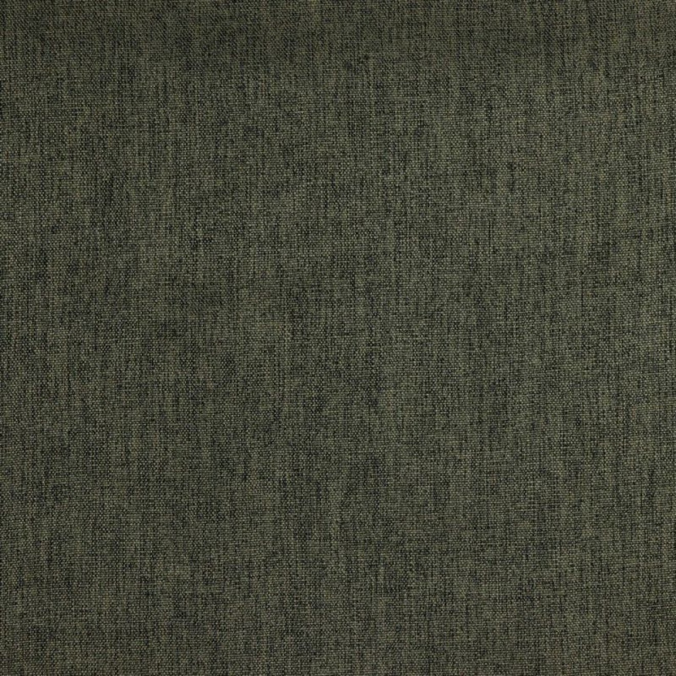 00007 Col. 007 camel