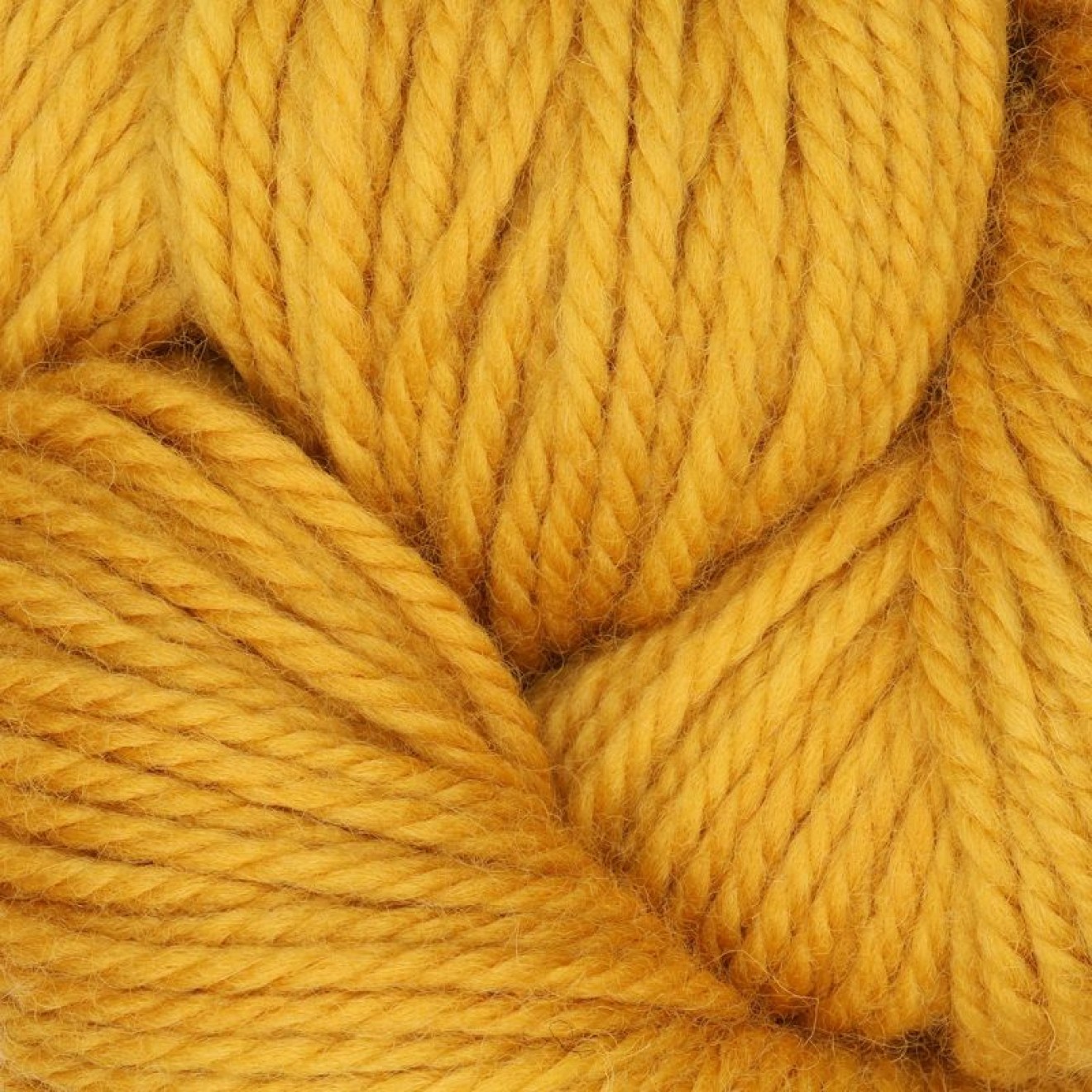 The Oxford Company Violet Jane Kammgarn colour col. Pencil Factory