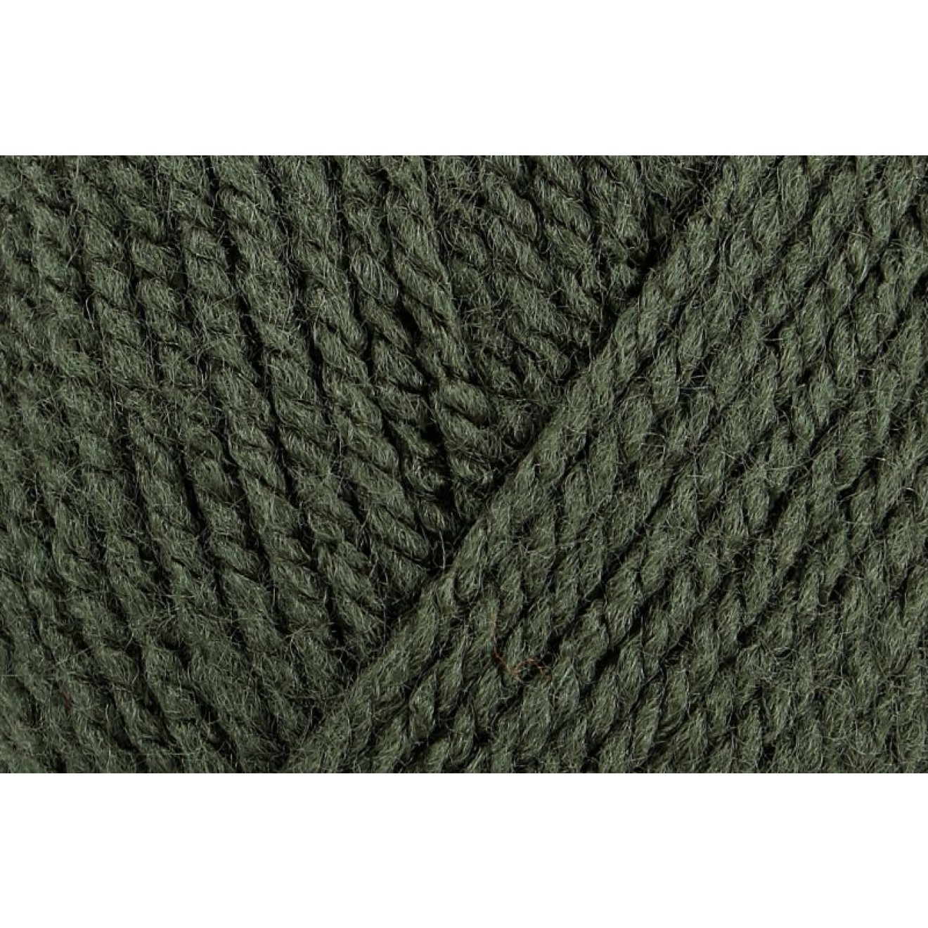 Schachenmayr Bravo colour 08347 loden