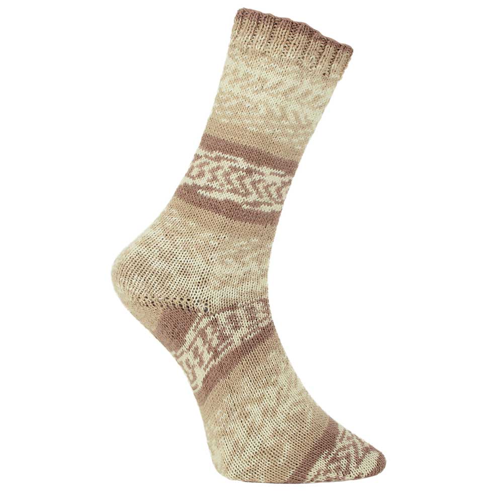 Pro Lana Fjord Socks colour 181