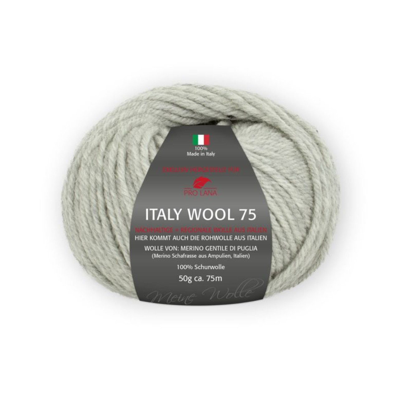 Pro Lana Italy Wool 75 colour 291