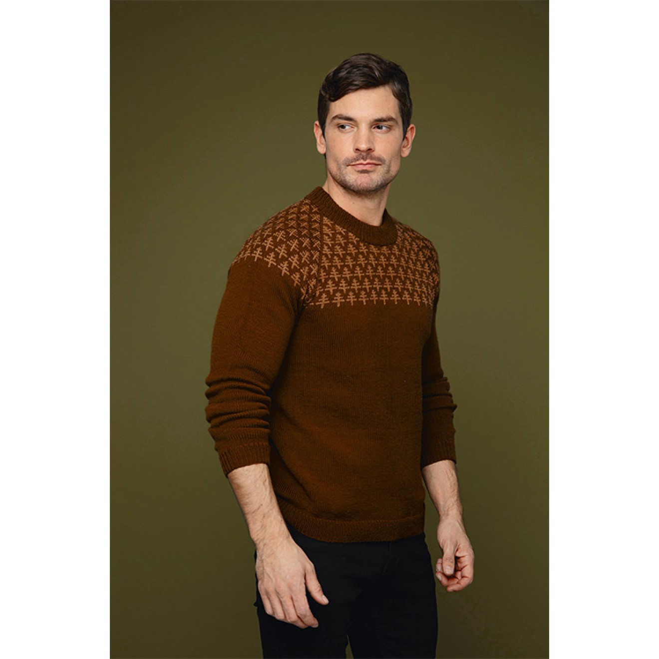 Sandnes Garn pattern booklet Cecilie Skog 3-5 TREES sweater half pattern men Farbe 01992 natural