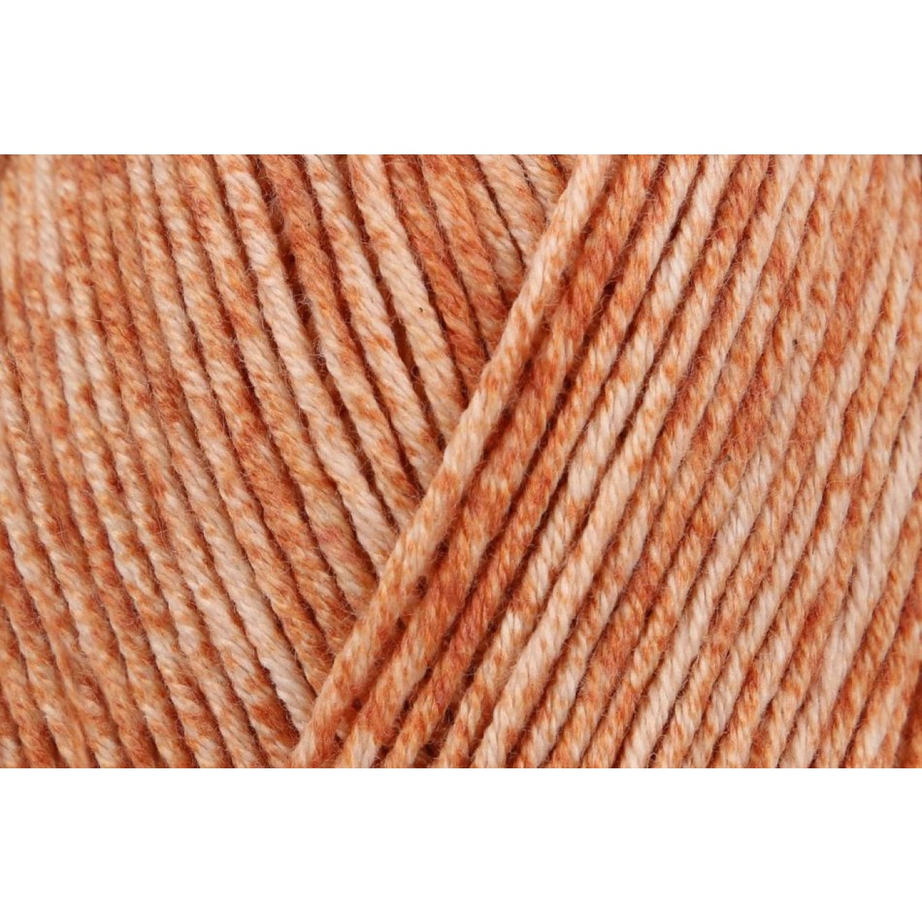 00012 cinnamon