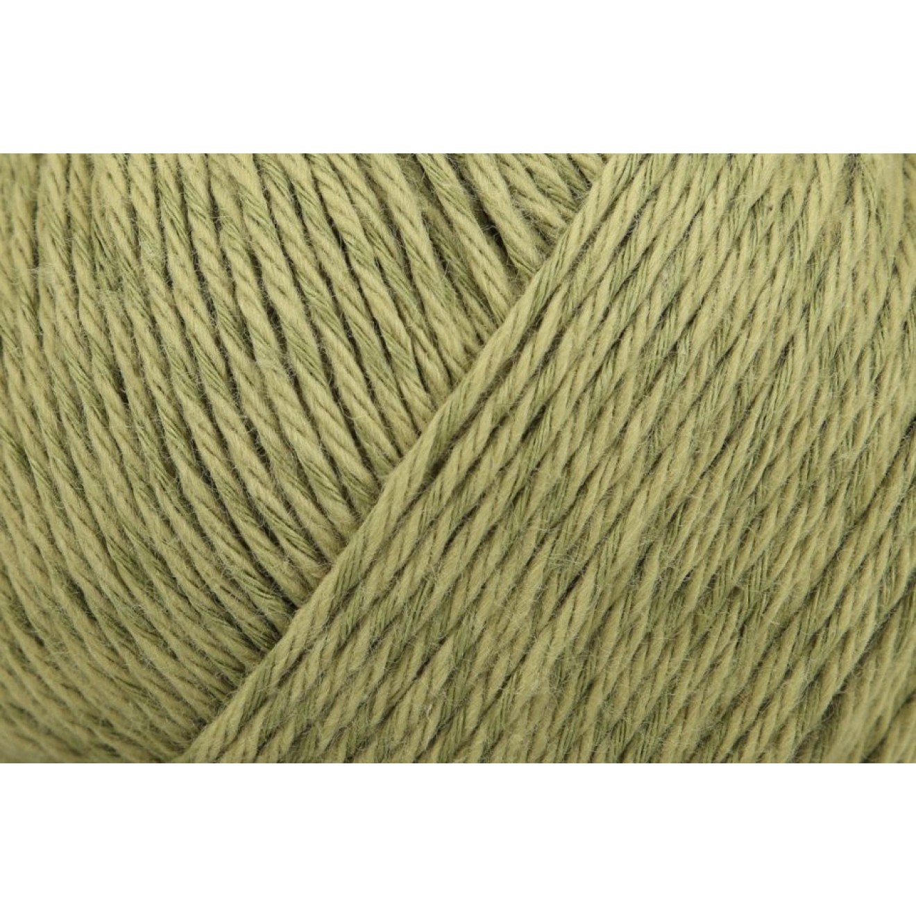Anchor Cotton Linen colour 00027 fern