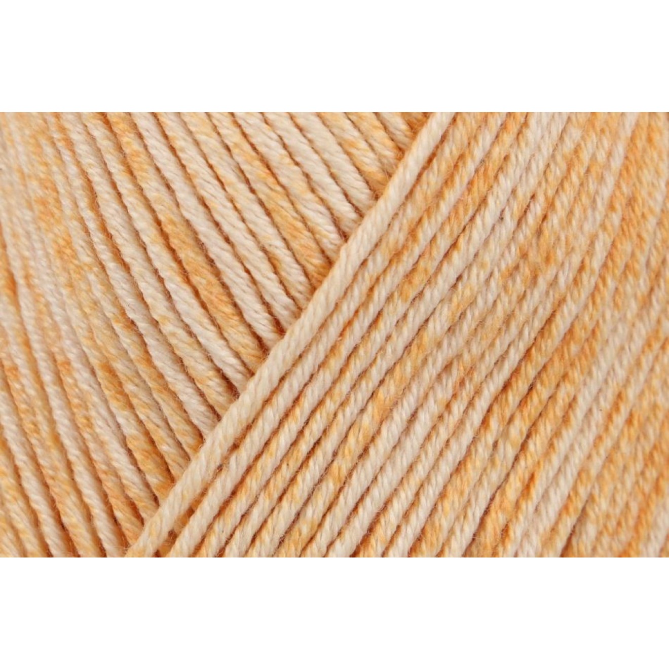 00025 apricot