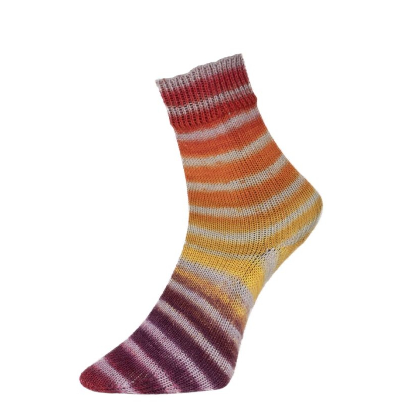 Pro Lana Paint Socks Farbe 200