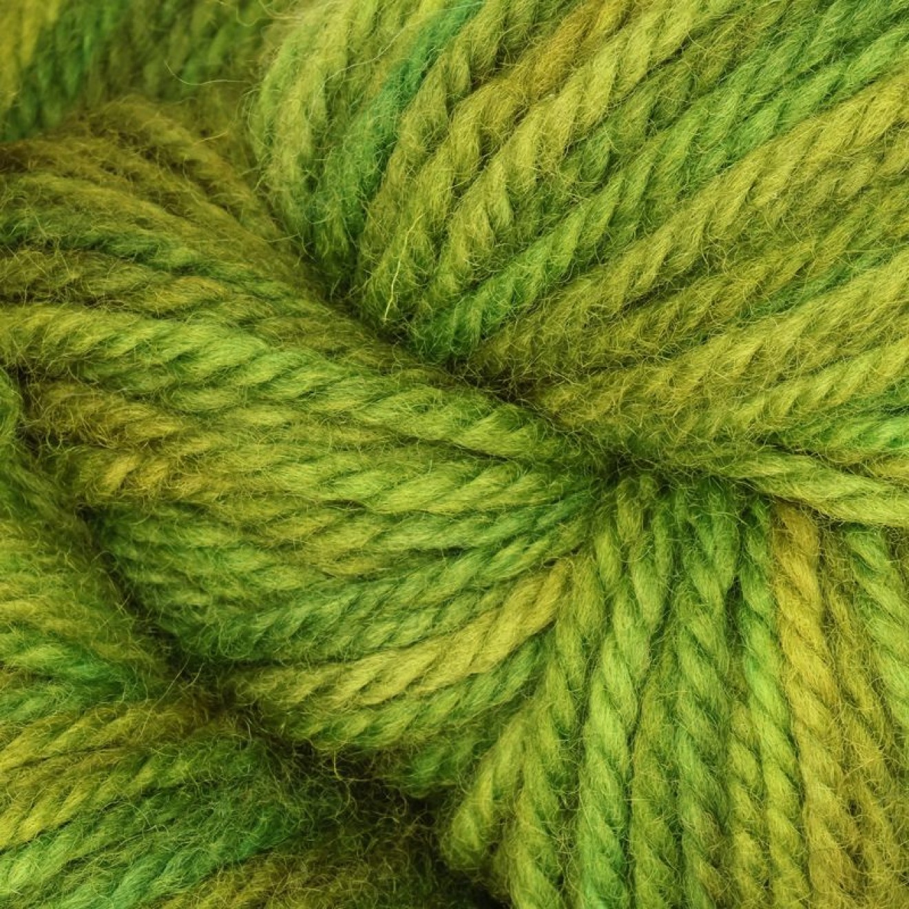 The Oxford Company Violet Jane Kammgarn color colour col. Parrot