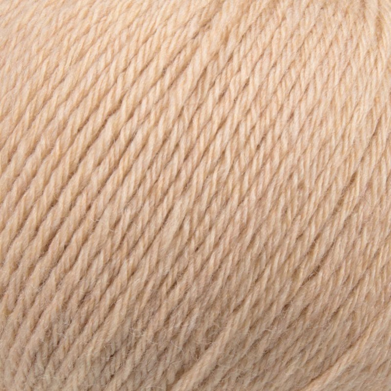 Mayflower 225-0000469-000004