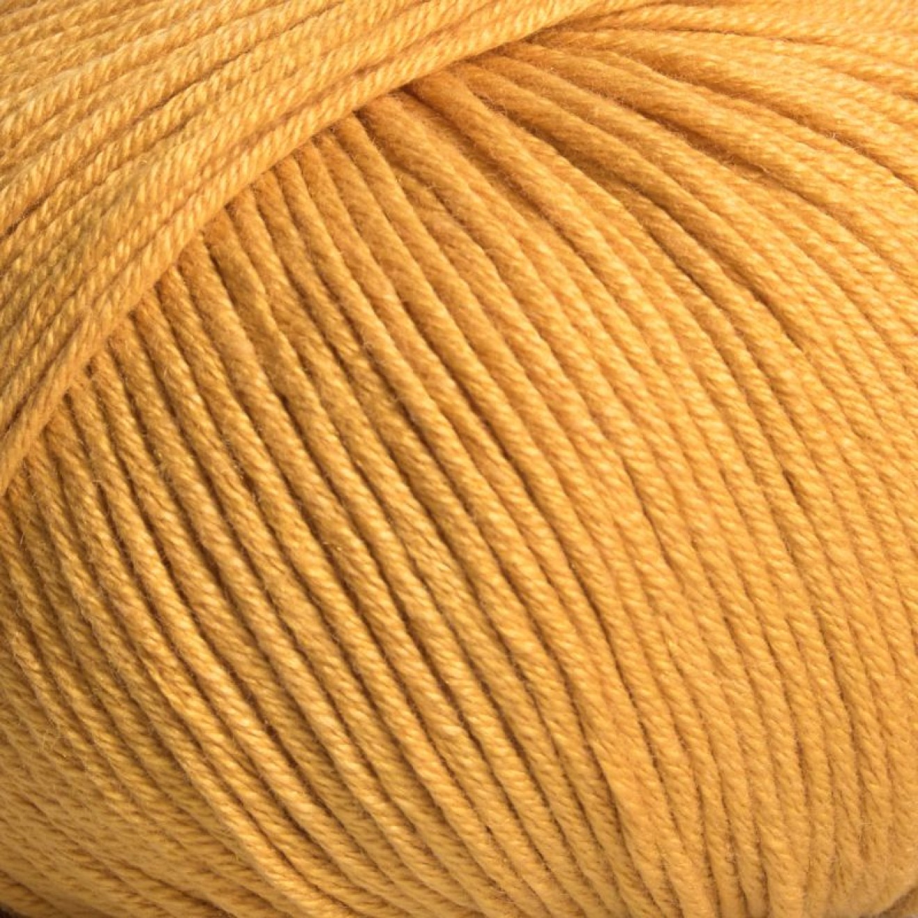 Mayflower 225-0000453-000019