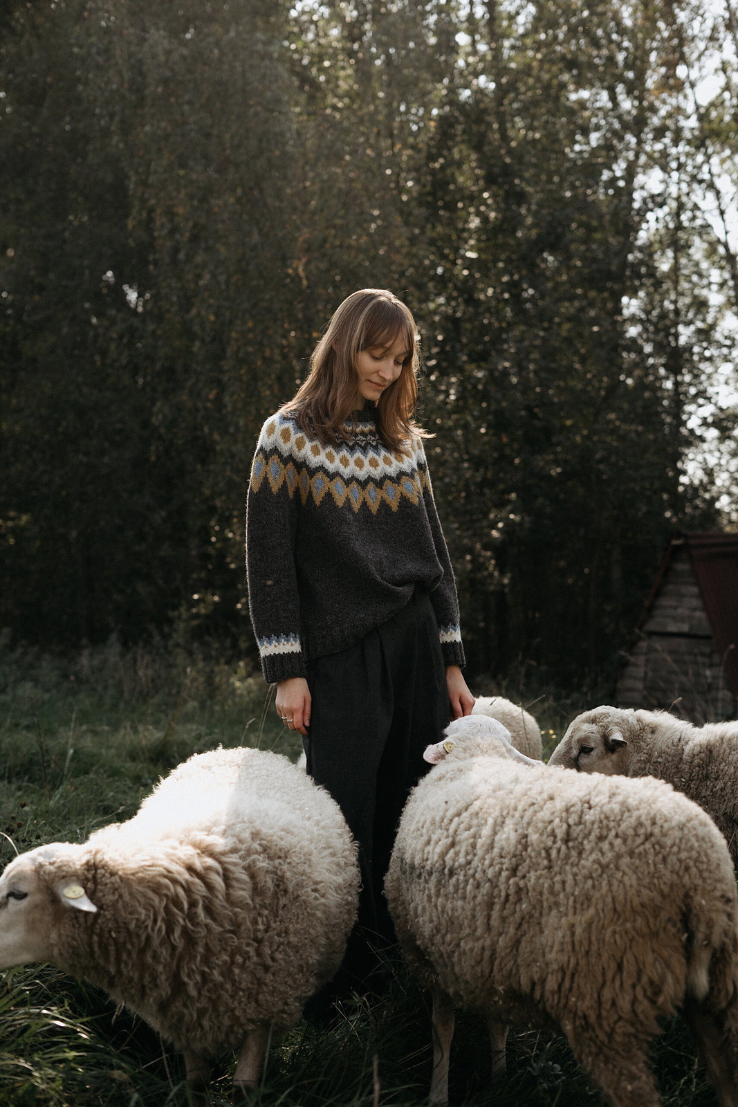 Pull Crystal – modèle de tricot, photo 2
