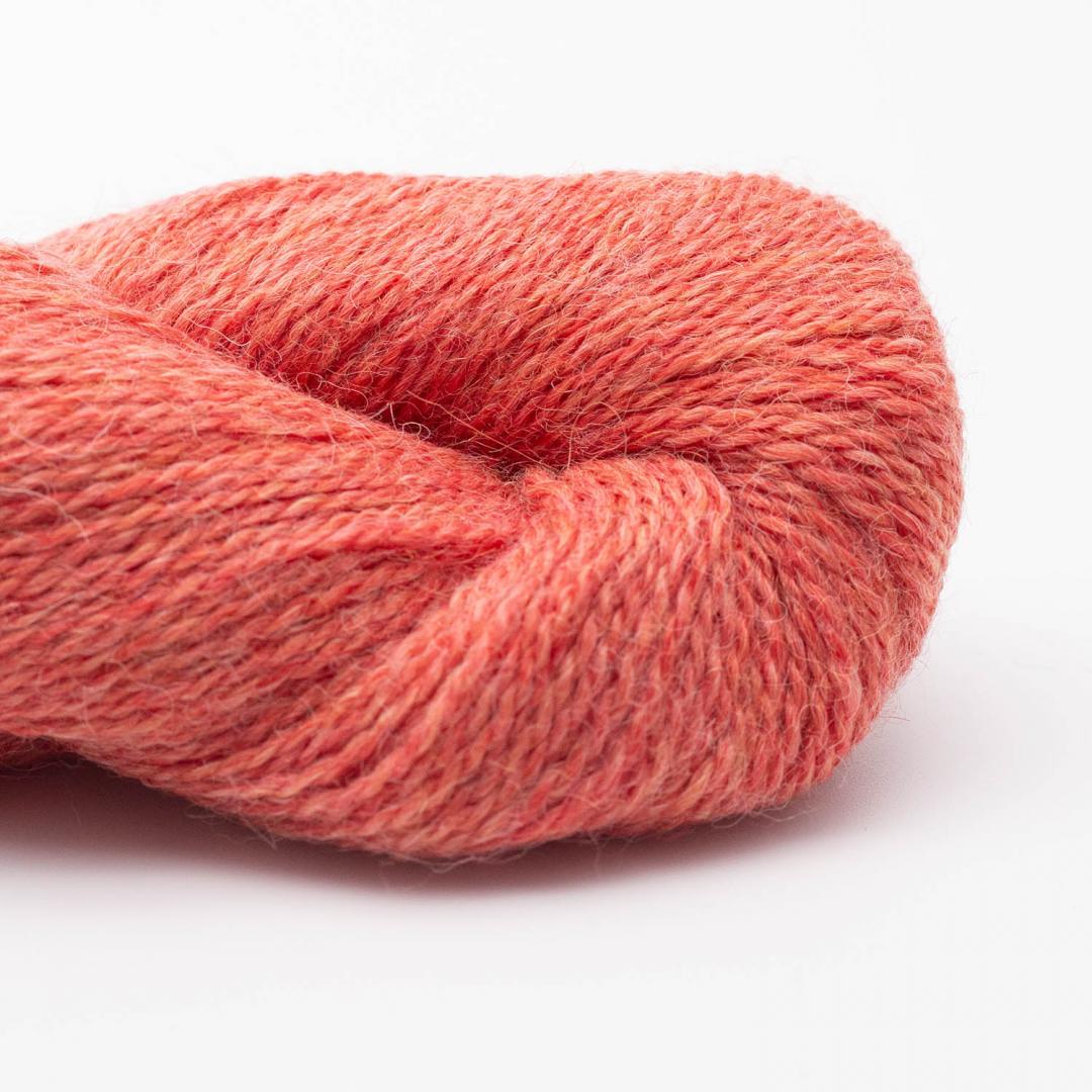 BC Garn Babyalpaca 10/2 auf 50g RAS yarn